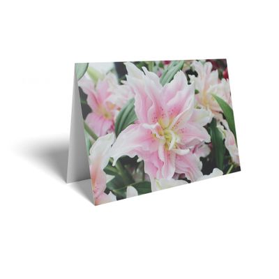 Folded Card - Pink Lily