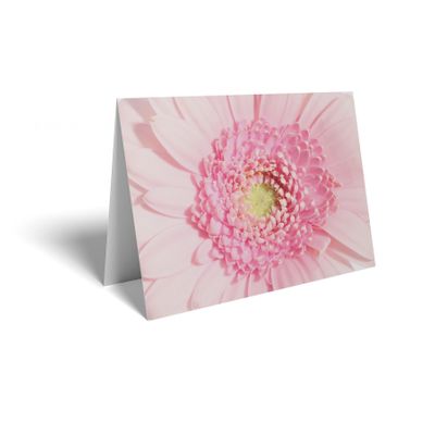 Folded Card - Pink Gerbera