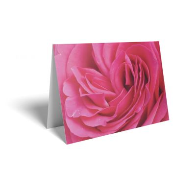 Folded Card - Pink Rose
