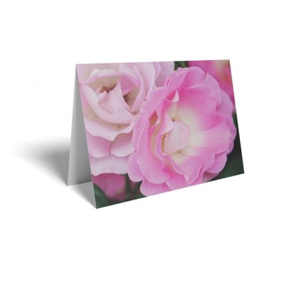 Folded Card - Pink Roses