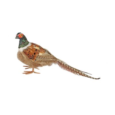 Pheasant 45x9x16