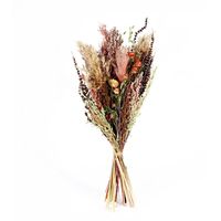 Ixia Flowers Austen Dried Bouquet