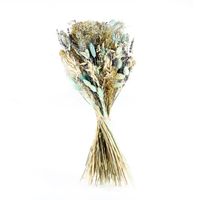 Ixia Flowers Seaside Dried Bouquet