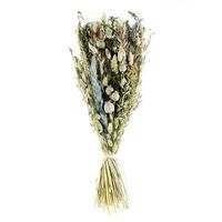 Ixia Flowers Elm Dried Bouquet