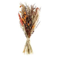 Ixia Flowers Carnelian Dried Bouquet