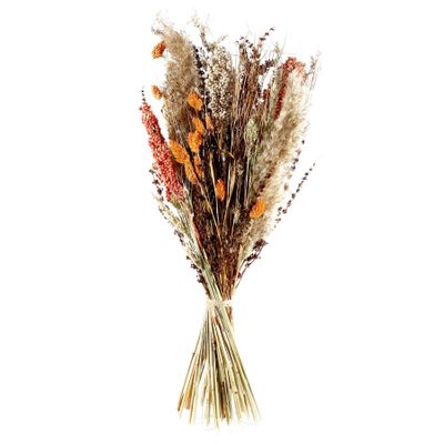 Ixia Flowers Carnelian Dried Bouquet
