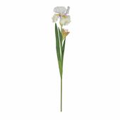 Monet Iris White-87cm (12/144)