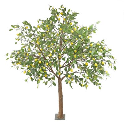 Lemon Tree - Indoor - 30 Branches - H 2.5M