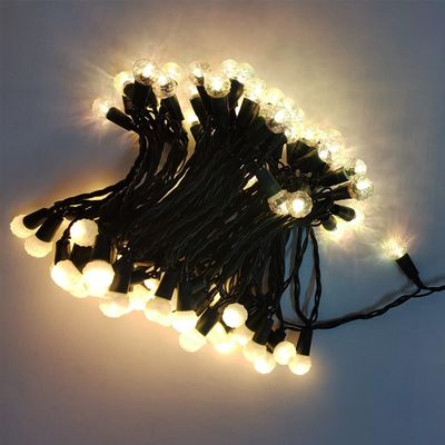 Berry Lights with 100 LED