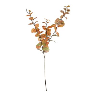 Essential Autumn Eucalyptus Stem - Orange / Green