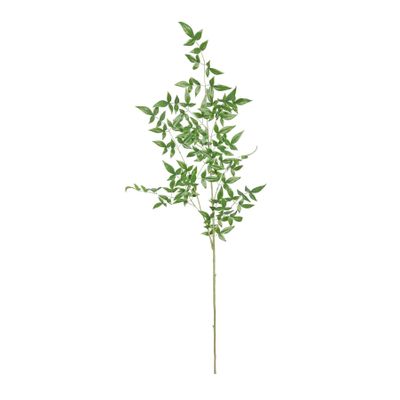 Botanica Giant Ruscus - Green - 134cm