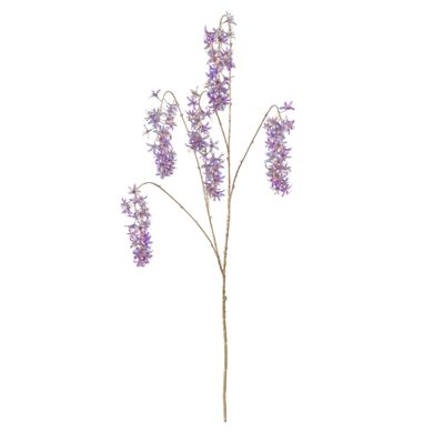 Citrus Flower - Purple - 133cm