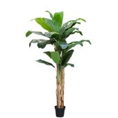 Banana Tree U.V F.R - 250cm