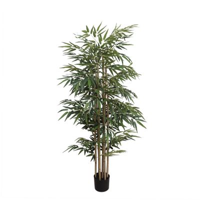 Bamboo Tree U.V F.R - 153cm