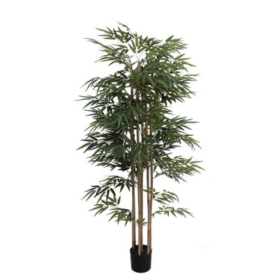 Bamboo Tree U.V F.R - 183cm
