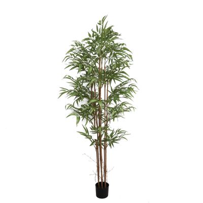 Bamboo Tree U.V F.R - 180cm