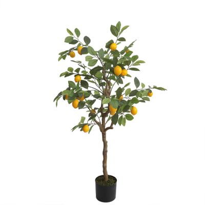 Lemon Tree U.V F.R - 120cm