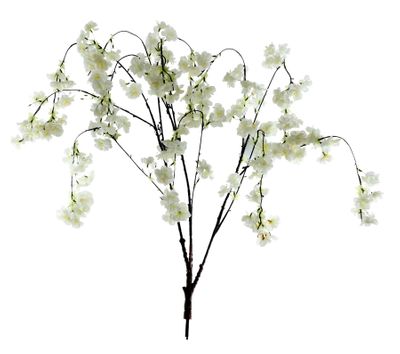 Blossom Tree Branches - Cream - Set of 30
