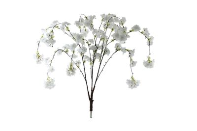 Blossom Tree Branches - White - Set of 30