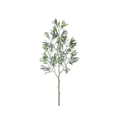 Botanica Olive Branch - 80cm 