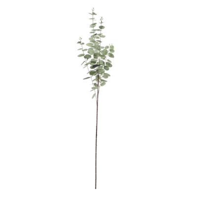 Eucalyptus Stem -Grey