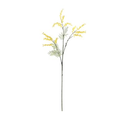 Essential Mimosa - Yellow