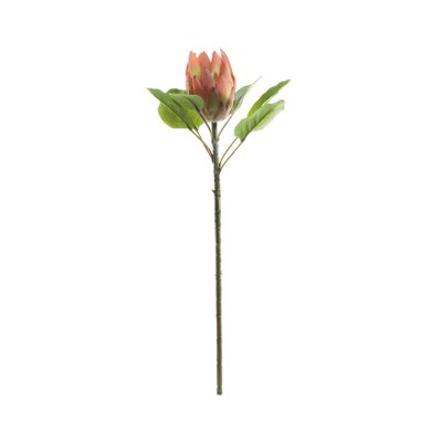 Large Protea - Pink