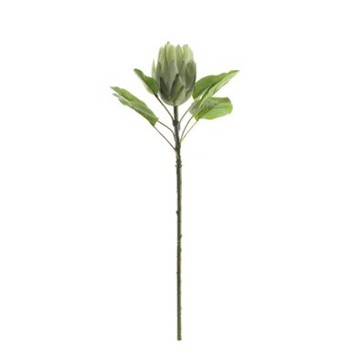 Large Protea - Green