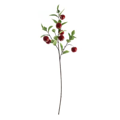 Apple Spray - Red