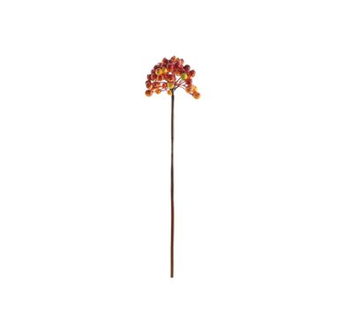 Glamis Berry Pick - Orange