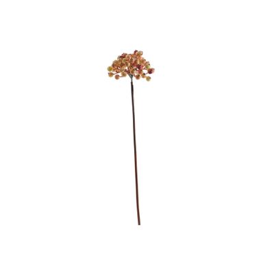Glamis Berry Pick - Yellow