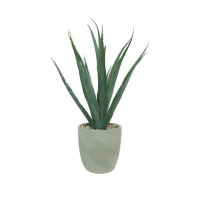 Botanica Agave Med Potted - Grey