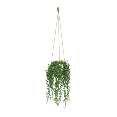 Botanica String of Teardrops Hanging Potted 