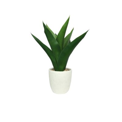 Botanica Agave Potted - White - 61cm