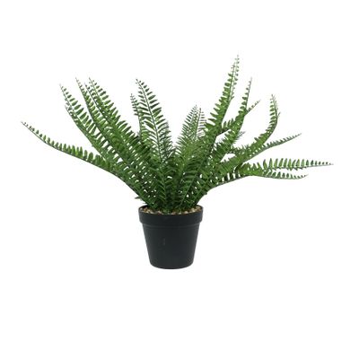 Botanica Fern Potted - Black - 44cm