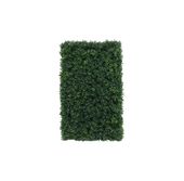 Botanica Hedge U.V - 37cm x 62cm