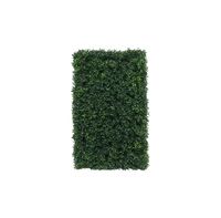 Botanica Hedge U.V - 37cm x 62cm