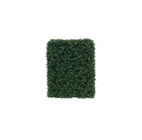 Botanica Hedge U.V - 37cm x 48cm