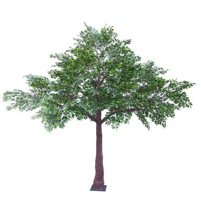 Goliath Outdoor Tree  - Green - 5m