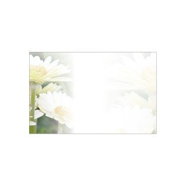 Small Card - No Message - Gerbera - PK25