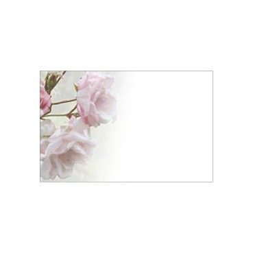 Small Card - No Message - Pale Pink Roses - PK25