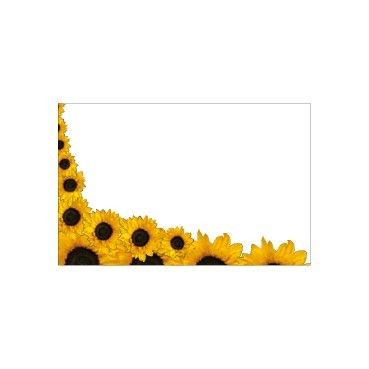 Small Card - No Message - Sunflower Frame - PK25