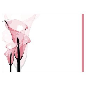 Large Card - No Message - Pink Calla Lily Illustration - PK6