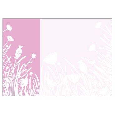 Large Card - No Message - Pink with White Wild Flower Illustration - PK6