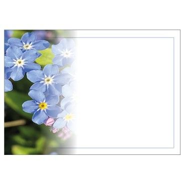 Large Card - No Message - Forget Me Not - PK6