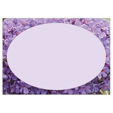 Large Card - No Message - Lilac Border - PK6