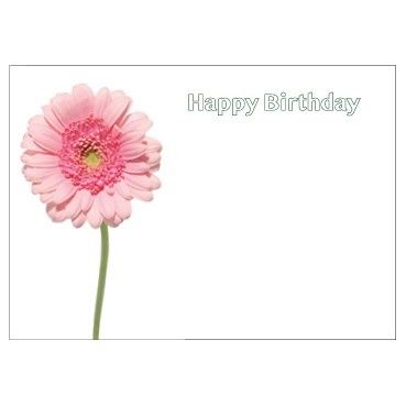 Large Card - No Message - Pink Gerbera -PK6