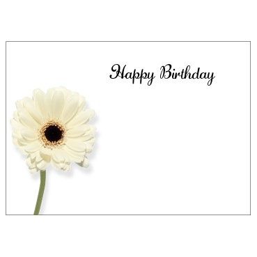 Large Card - No Message - Cream Gerbera - PK6