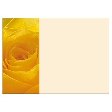 Large Card - No Message - Yellow Rose - PK6