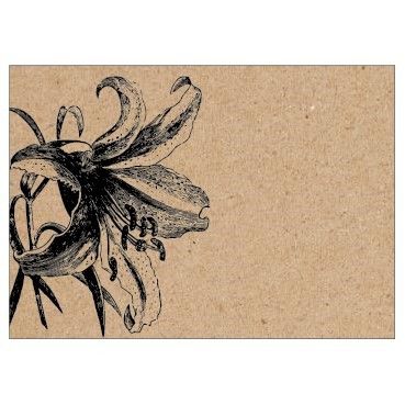 Large Card - No Message - Black Lily on Natural Kraft - PK6